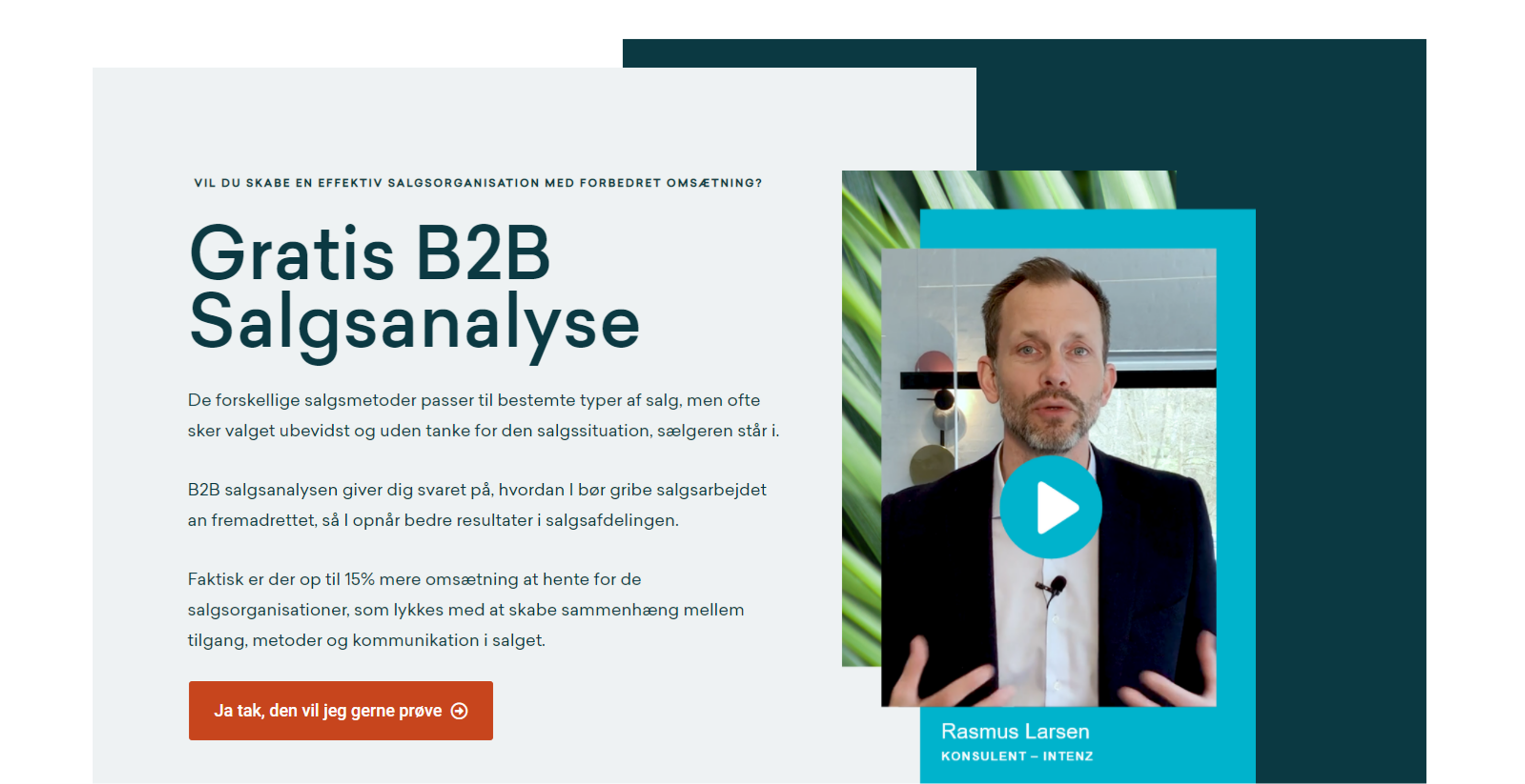 Analyse: B2B Salgsanalyse - Intenz