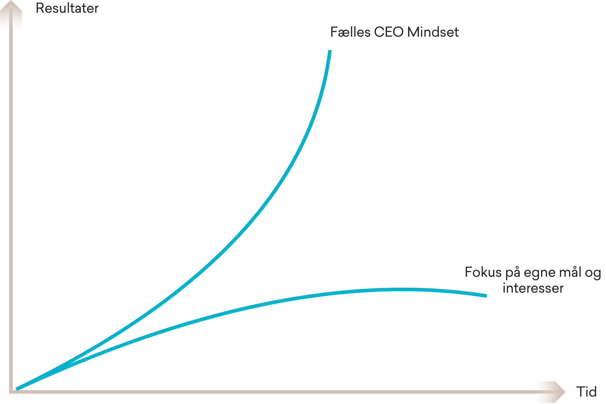 CEO mindset