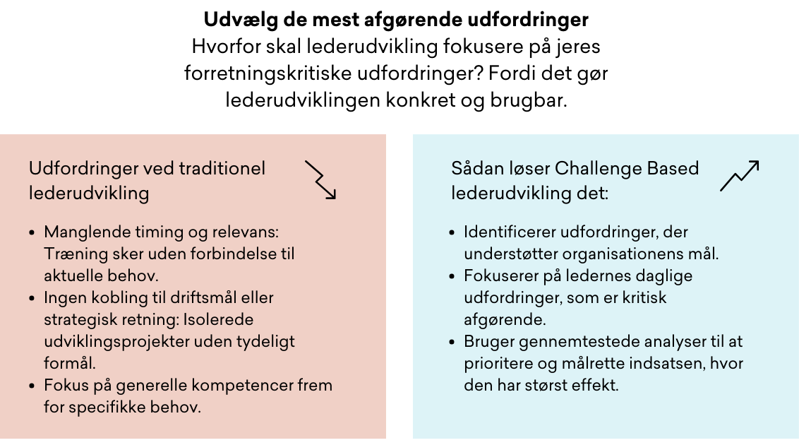 Udfordringer og løsninger - Challenge Based Lederudvikling (3)